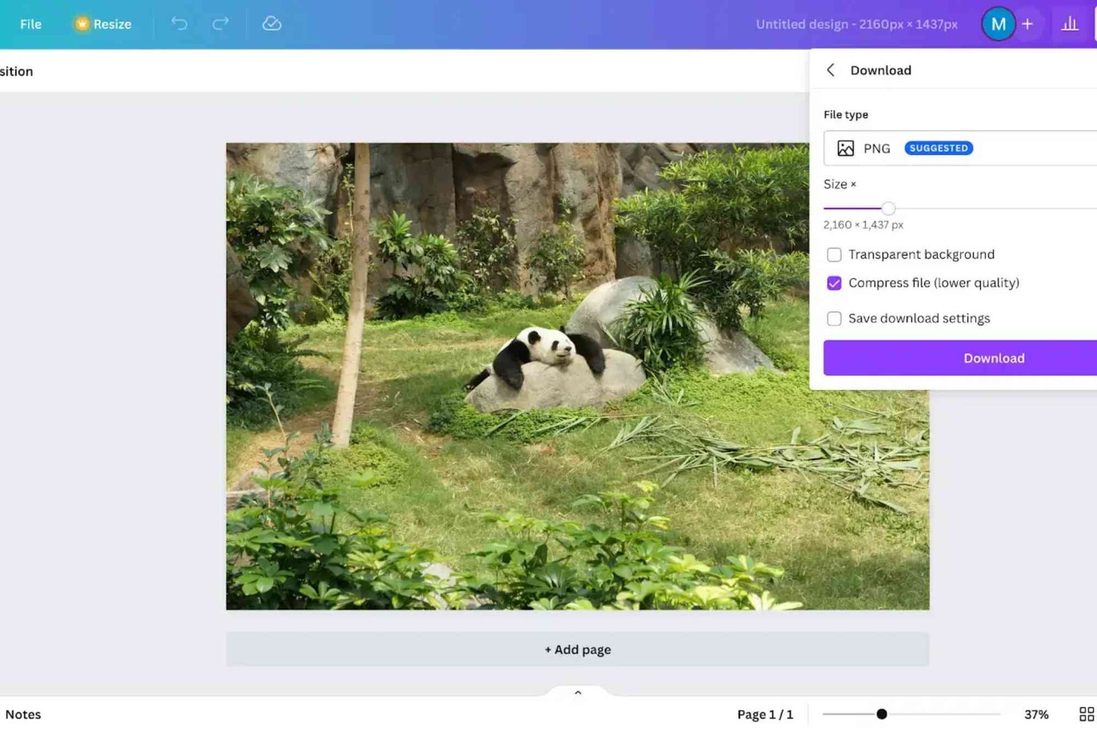 The Role of Image Compressors in Reducing Bandwidth Costs