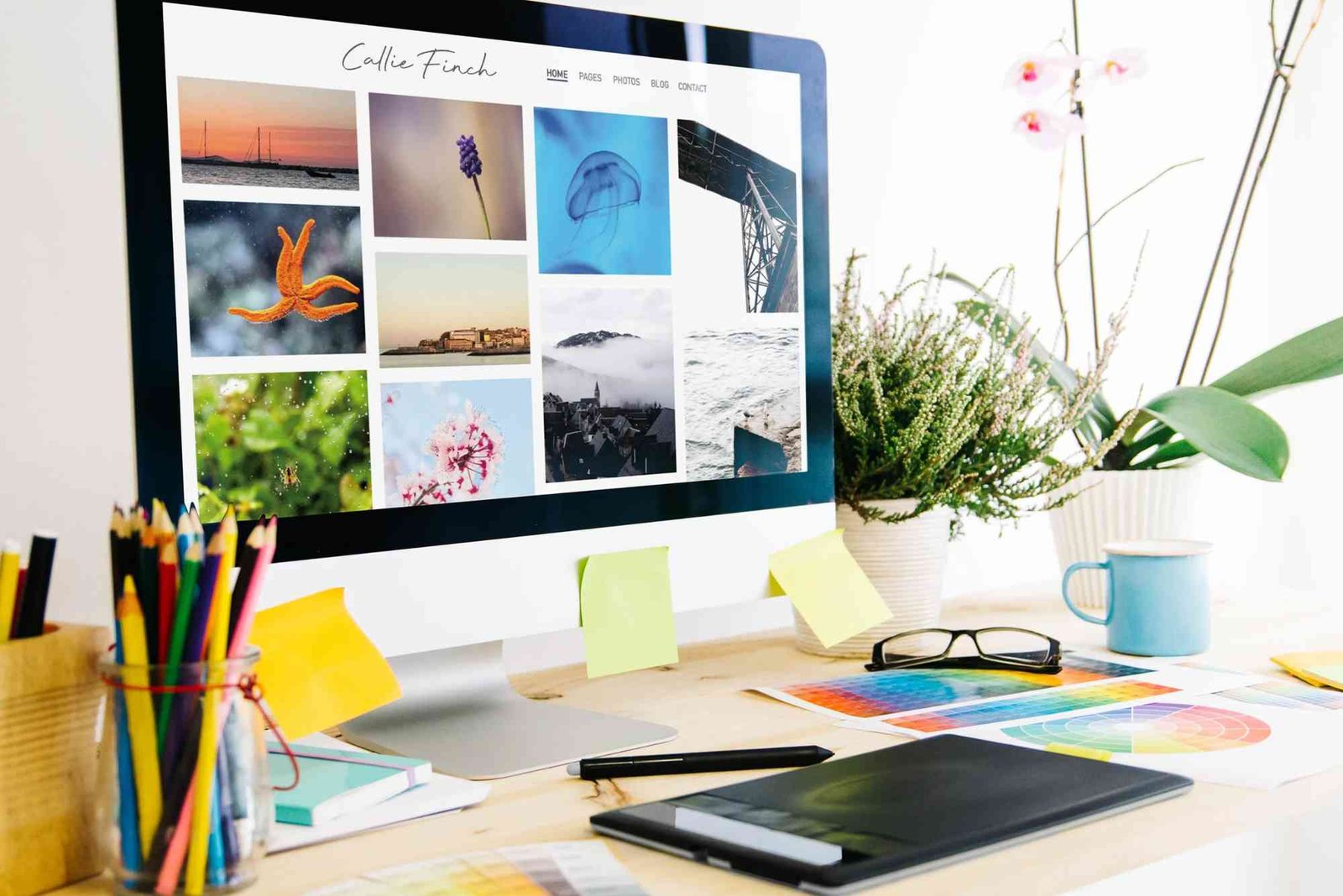 How to Prepare Compressed Images for Online Portfolios and Galleries