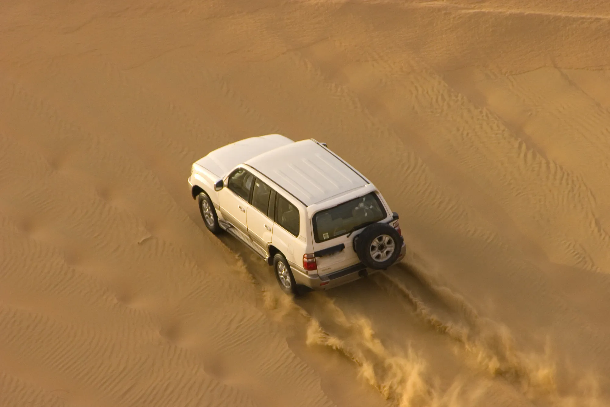Dubai Desert Safari